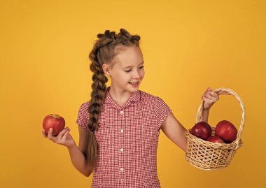 Genç kız sepetinde elma taşıyor. Sonbahar hasadı. Bahar mevsimi meyveleri. Vitamin dolu. Sadece organik yiyecekler. Doğal ve sağlıklı. Mutlu çocukluk. Çocuk elma yiyor. Meyveli çocuk