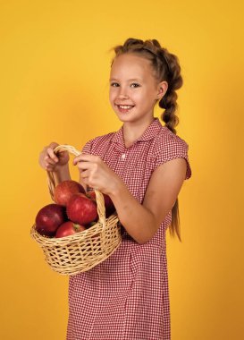Çocuk beslenme ve diyet yaparken doğal vitamin yemek için sağlıklı elma meyvesi tutar.