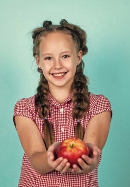 Sonbahar, sonbahar hasadından toplanan vitamin dolu elmalarla dolu mutlu genç bir çocuk.