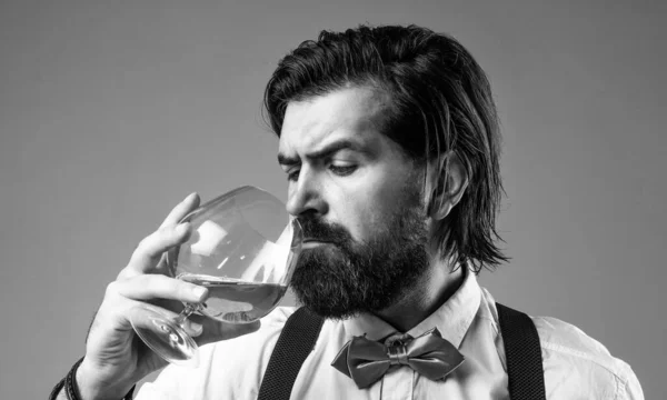 Elinde viski bardağı tutan kendine güvenen bir şarap garsonu, barmen. — Stok fotoğraf