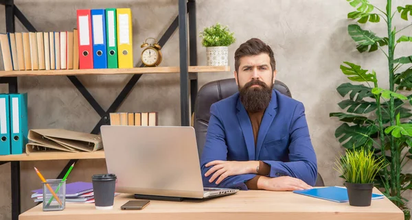 Komoly szakállas főnök tanulmány online laptop az irodában, online — Stock Fotó