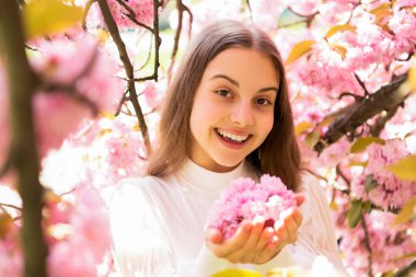 Sakura 'daki neşeli çocuk baharda çiçek açar.