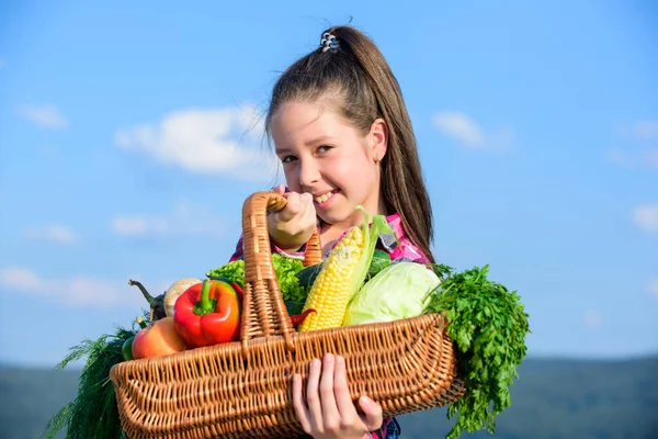 Sonbahar hasat ile kız çocuk rustik tarzı. Çocuk neşeli kutlamak hasat tatil sebze sepeti. Hasat festivali konsepti. Kırsal kesimde çocukluk. Hasat mavi gökyüzü arka plan ile Çocuk çiftçi — Stok fotoğraf