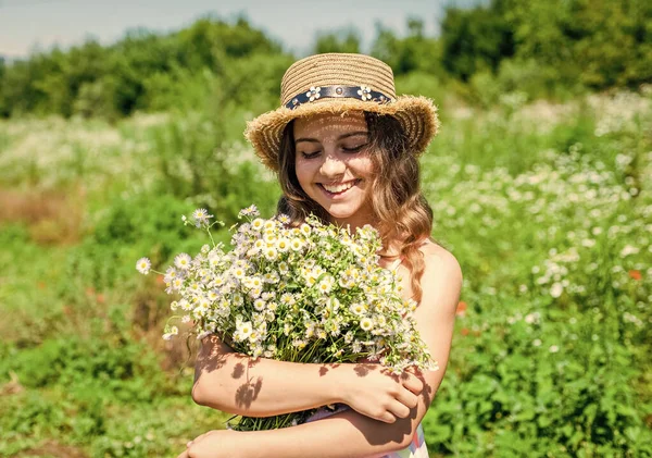 新鮮なハーブを収穫。フィールド、夏の季節にカモミールの花を収集する小さな女の子 — ストック写真