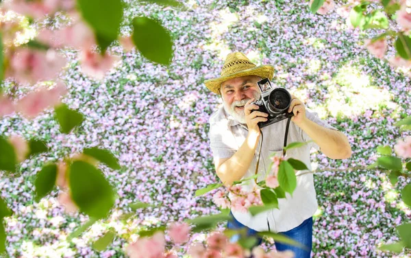 저쪽을 봐. 남성 사진사는 벚꽃을 즐긴다. 체리 파크를 여행하고 걷고 있습니다. 취미는 은퇴. 관광 과 휴가. 사쿠라 플라워 정원 밑을 지나가는 사람을 찍는다. 여행 개념 — 스톡 사진