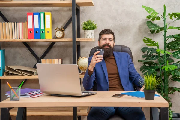 Sonriendo confiado barbudo jefe estudio en línea en portátil mantenga café en la oficina, educación empresarial —  Fotos de Stock