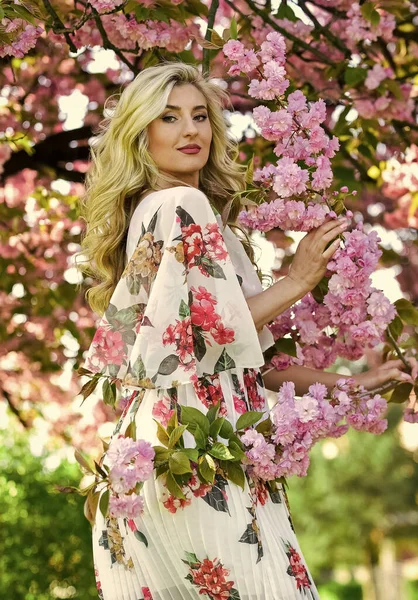 İyi görünümlü bahçıvan. yumuşak cilt bakımı. Kiraz ağacı bahçesinde sağlıklı bir kız. Klasik yaz modası. Parkta bahar doğası çiçek açar. Retro kadın sakura çiçeği kokusu alıyor. Spa ve güzellik tedavisi