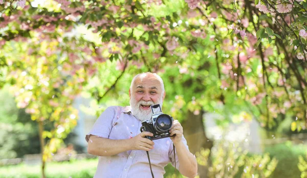 좋은 기분으로. 벚꽃 이 만 발 한 사진을 찍었습니다. 분홍 꽃으로 가지를 치라. 수염 이 많은 노인 사진 촬영. 전문 사진 작가 디자이너. 남자 관광객 이 벚꽃 사진을 찍는 모습 — 스톡 사진
