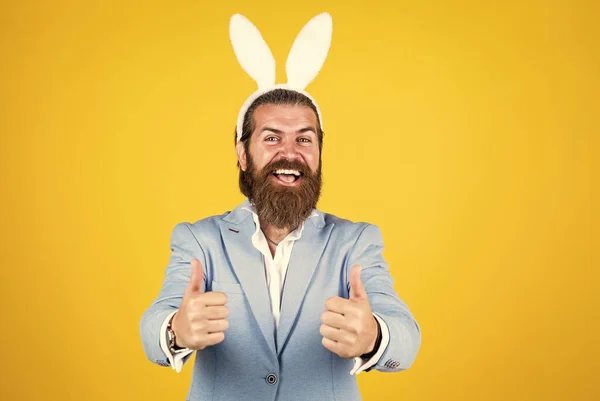 Készülődöm. a húsvéti ünnepet tavasszal. Vicces fickó nyúl jelmezben. Boldog húsvétot. Az ember nyuszinak képzeli magát. a hím nyuszifület visel. Csak szórakozom. Húsvéti ünnepi köszöntés — Stock Fotó