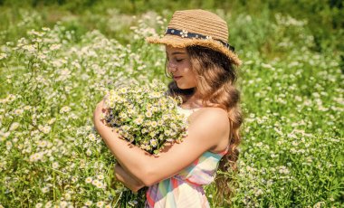 Kırsal bölge sakin. Küçük çocuk papatya tarlasında çiçek topluyor. Çiçek dükkanı. Tatil kutlaması. Yaz tatili. Kaplıca ve güzellik. Yaz cilt bakımı ve saç bakımı. Doğal bitkisel tedavi