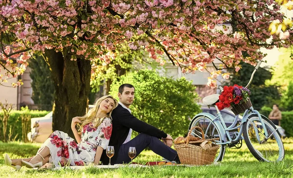 Nur Liebe kann uns wärmen. Romantisches Reisepaar unter einem Sakura-Blütenbaum. Verliebtes Paar auf grünem Gras. Gemeinsam die Natur genießen. Picknick im Stadtpark. Mann und Frau entspannen sich mit Futterkorb — Stockfoto