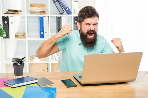 Innoissaan mies onnellinen huutaa kannettavan tehdä voittava ele toimistossa työpöytä, voitto — kuvapankkivalokuva