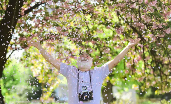 Счастлив под лепестком дождя. весенний сезон с цветущими розовыми цветами. Фотограф мужчина сделал веселую фотографию. Цветущая сакура. фотограф фотографирует знаменитые цветущие вишни — стоковое фото