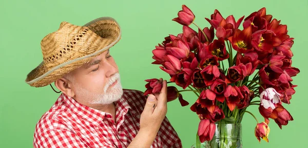 头戴礼帽的老年人拿着绿色背景的春郁金香花 — 图库照片