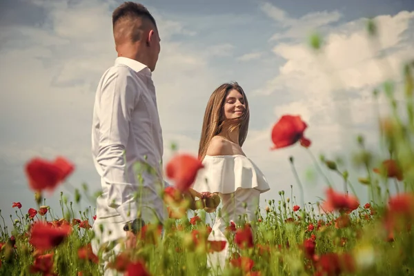 Gelin ve damat gelincik tarlasında, düğün günü — Stok fotoğraf