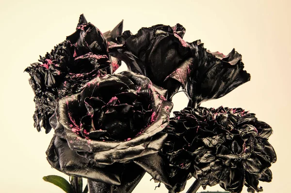 Burned to ashes. Burned flowers isolated on white. Dark flowers with glowing embers. Black bouquet