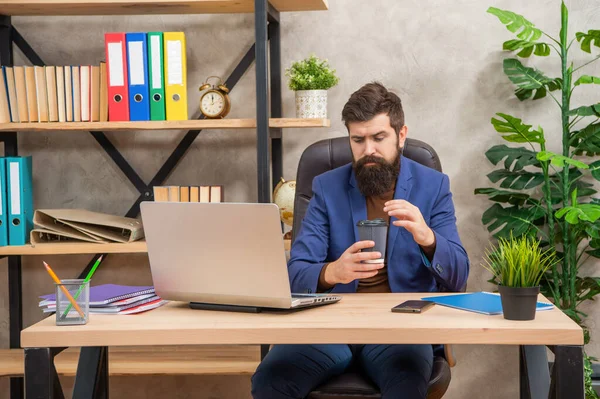 Geschäftig selbstbewusst bärtigen Chef Studie online auf Laptop halten Kaffee im Büro, modernes Leben — Stockfoto