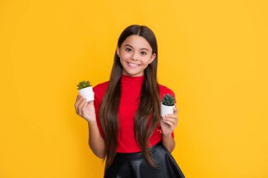 Sarı arka planda kaktüsle gülümseyen çocuk.