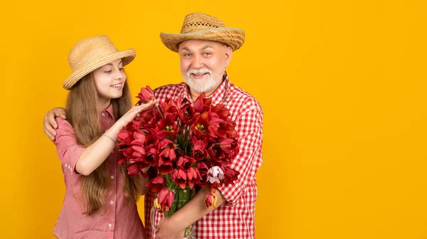 Cheerful old grandfather with granddaughter hold tulip flowers on yellow background with copy space — Stock Photo, Image