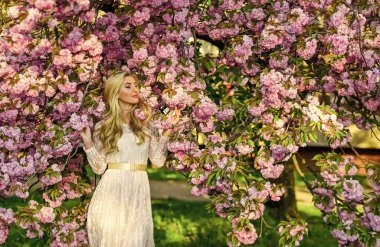 Aroma konsepti. Mevsimsel alerji. Çiçeklerde kaybolmuş. Kiraz çiçekli kız. Bahar modası. Sakura çiçeği açan kadın. Bahçedeki sarışın kadın. Sakura ağacı çiçek açıyor. Sakura mevsimi. Yumuşak bir koku.