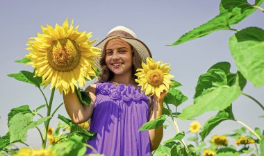 Küçük kız kırsal tarzda ayçiçeklerinin arkasına saklanıyor, iyi hasat.