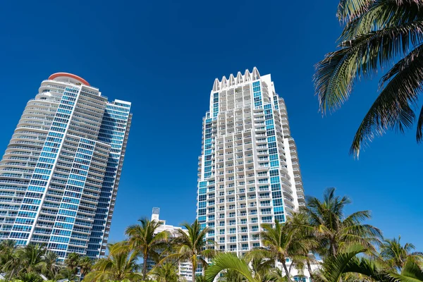 Výškové budovy moderní městská architektura a palmy na modré obloze v South Beach, USA — Stock fotografie