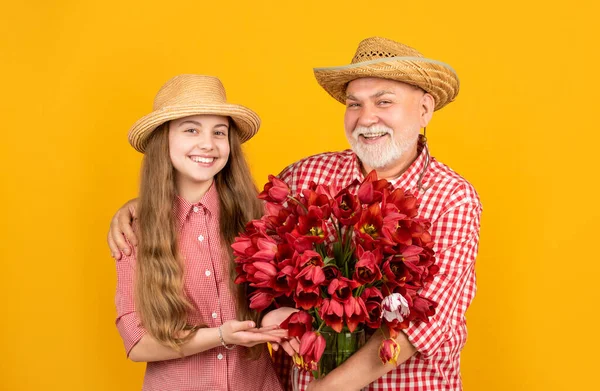 Улыбающийся старый дед с внучкой держат цветы тюльпана на желтом фоне — стоковое фото