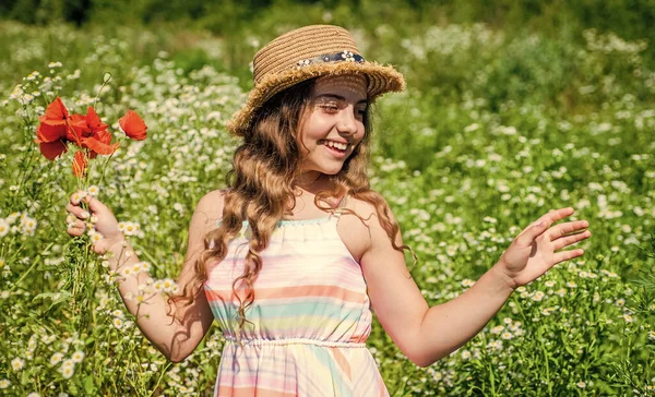 Happy little girl collecting wildflowers on sunny day nature background — стоковое фото