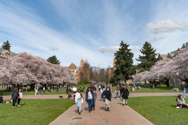 Seattle, Washington ABD - 2 Nisan 2021: Washington Üniversitesi kampüsünde bahar sakurası çiçek açıyor. Parktaki insanlar. Bahar mevsimi