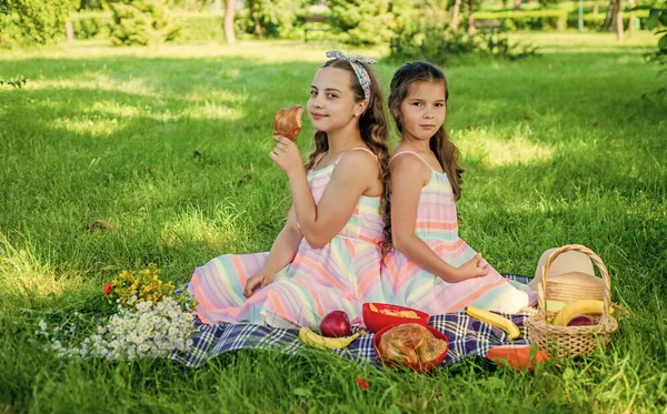 어린 아기들은 맑은 여름철 풍경을 배경으로 야외에서 푸른 잔디 위에서 소풍 식사를 한다 — 스톡 사진
