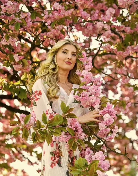 Uyum ve kadın enerjisi. Bahar çiçeği açan ağaç. Bahar sembolü Kız bahçedeki sakuranın tadını çıkarıyor. Çiçeklerin kadınları neden her zaman mutlu ettiğini. Mutlu bahar günleri. Kiraz ağacı. İyi titreşimler. Çiçek aroması