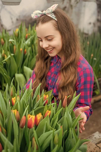 Tulpanrabatten. Trädgårdsarbete för barn. glad tonåring flicka florist i växthus. — Stockfoto