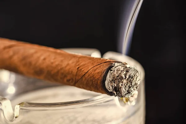 Illuminazione sfondo scuro sigaro cubano. Fumare tabacco. Il fumo del tabacco. Dipendenza da nicotina. Sigaro fumante — Foto Stock