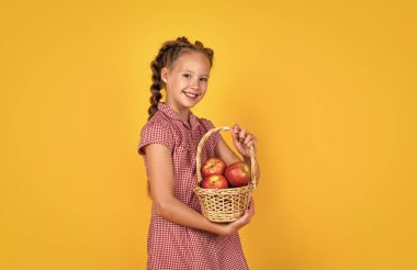 Bahçeden elma tutan mutlu kız. Çocuk elinde meyve sepeti tutuyordu. Çocuk kırmızı elma yiyor. Sağlıklı yaz yemekleri. Vejetaryen diyeti. Sonbahar hasadında meyve. Sonbaharda sağlıklı beslenme