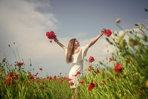 Nő gyűjteni virágok nyáron mák mező, boldogság — Stock Fotó