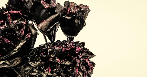 Ramo negro de flores naturales quemadas aisladas en el espacio de copia blanca, rosas — Foto de Stock