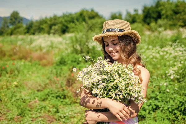 Colha ervas frescas. Menina coletando flores de camomila no campo, despreocupado e feliz — Fotografia de Stock