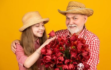 Mutlu büyükbaba ve torunu sarı arka planda lale çiçekleri tutuyorlar. Aile Günü