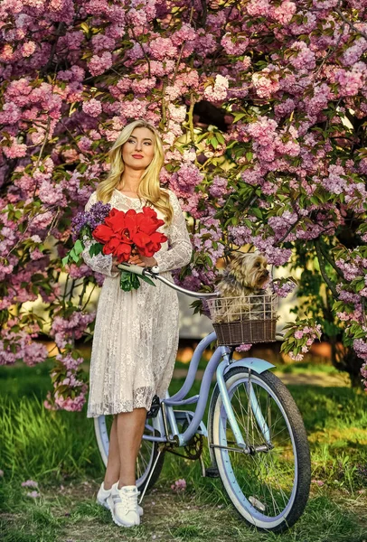 Nový zelený život. žena na zahradě. mladá módní dívka s retro kolo v blízkosti třešňových květů. dívka s ročníkem kolo v růžové sakura uličky. kvetoucí strom na jaře. přírodní ženská krása — Stock fotografie