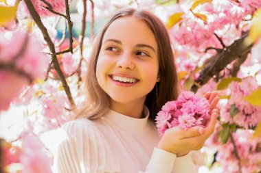 Sakura 'daki mutlu çocuk baharda çiçek açar.