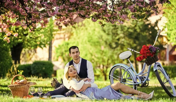 Romantic picnic. Anniversary concept. Idyllic moment. Man and woman in love. Picnic time. Spring date. Playful couple having picnic in park. Couple cuddling on blanket. Happy together. My darling — Stock Photo, Image