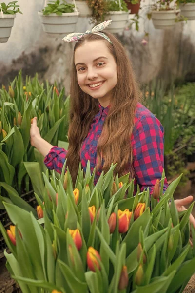 Glad tonåring flicka florist plantera krukväxter i växthus, vår — Stockfoto