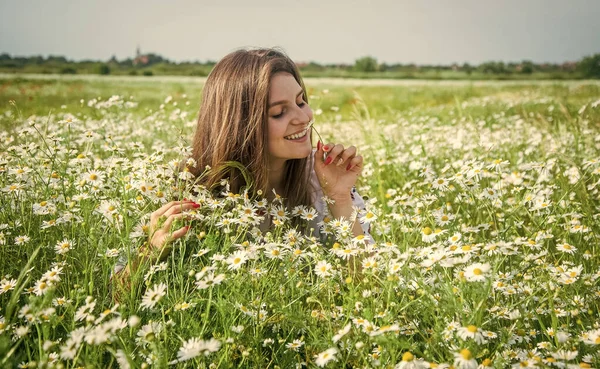 幸せな女性は夏のカモミール畑に花を集め — ストック写真