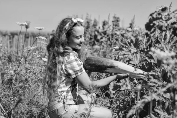 Horticulture activities. child grow zucchini in garden, farming. teen girl on squash farm. summer vacation. rich harvest and agriculture. happy childhood. retro kid hold healthy vegetable marrow — Stock Photo, Image