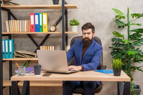 Brutaali toimitusjohtaja liikemiesmäisessä puvussa tietokoneen kanssa toimistossa, liike — kuvapankkivalokuva