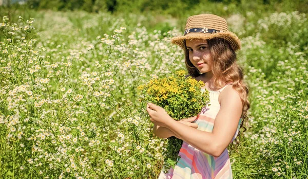 Boldog lány gyűjtése vadvirágok napos nyári nap, betakarítás szárítás és tárolás gyógynövények — Stock Fotó