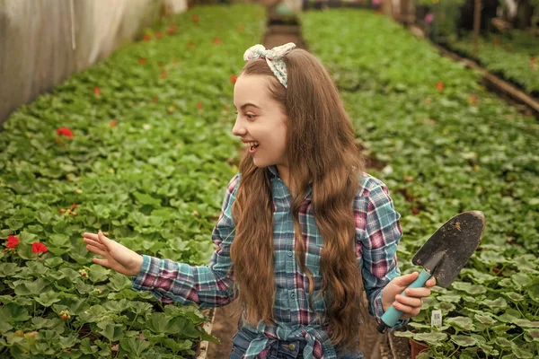 Överraskad glad tonåring flicka florist vård kruka växter i växthus, trädgårdsmästare — Stockfoto