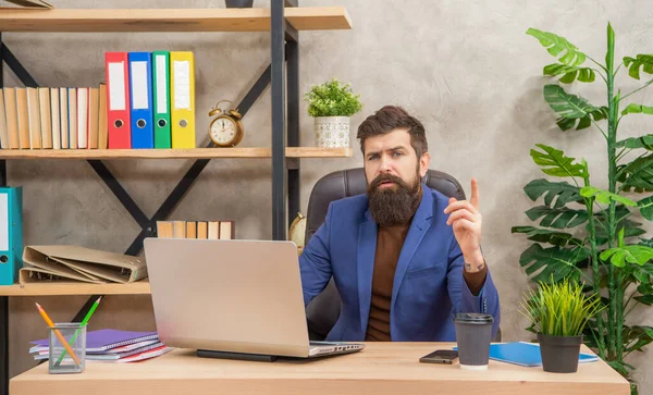 Inspired with idea bearded boss study online on laptop in the office, professional occupation — стоковое фото