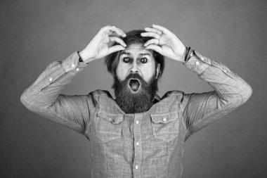 Olgun, vahşi hippi, taze kiraz ve diyet.