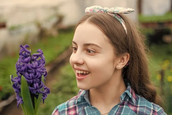 Glad tonåring flicka florist vård kruka växter i växthus, sommar — Stockfoto